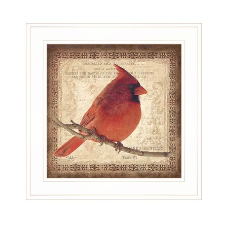 Homeroots Male Cardinal 1 White Framed Print Wall Art 407369