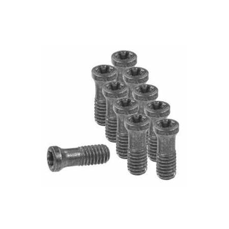 Garant Pack of Insert Screws, 10 Pieces 219882
