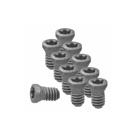 Garant Set of Insert Screws, 10 Pieces 219828