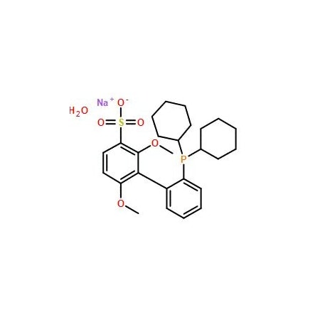Ak Scientific sSPhos (1g), CAS 1049726-96-6 1097AA-1g