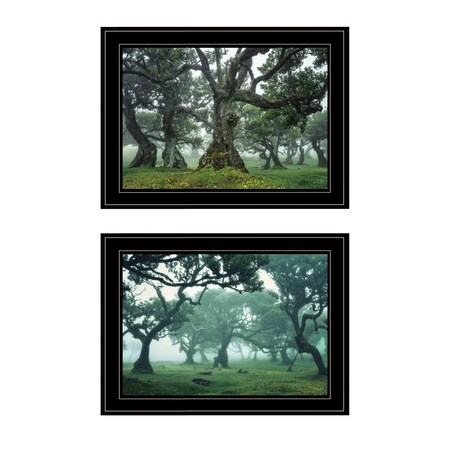 Homeroots Set Of Two Enchanted Forest 3 Black Framed Print Wall Art, 2PK 408033