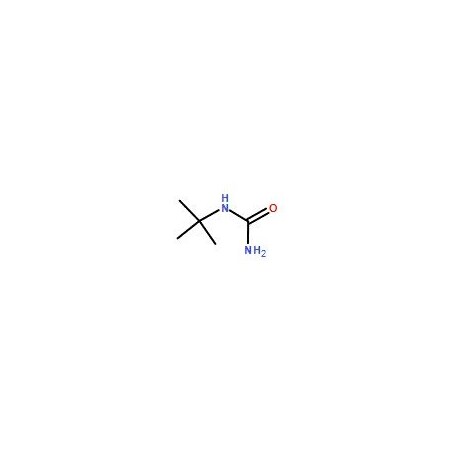 Ak Scientific tert-butylurea (1g), CAS 1118-12-3 7334AF-1g