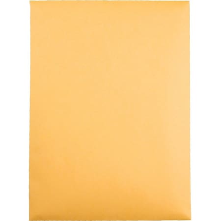 Quality Park Catalog Envelope, Lt Brown, Kraft, PK100 QUA43468