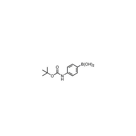 Ak Scientific (4-Boc-aminophenyl)boronic acid (25g), CAS 380430-49-9 N861-25g