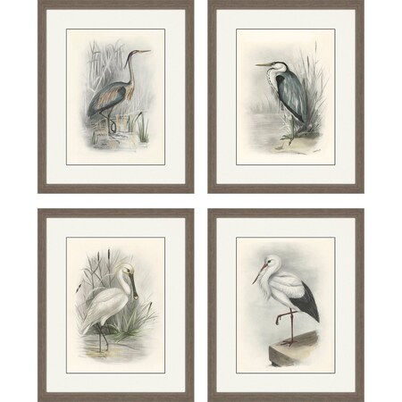 Homeroots Set Of Four Birds Brown Framed Print Wall Art, 4PK 526004