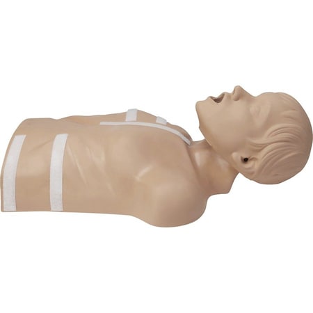 Zoll AED Plus Training Manikin 8000-0835-01