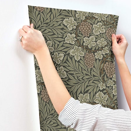 A-Street Prints Vine Dark Green Woodland Fruits Wallpaper 4153-82020