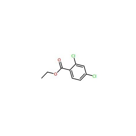 Ak Scientific Ethyl 2, 4-dichlorobenzoate (1g), CAS 56882-52-1 S746-1g