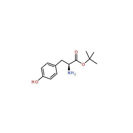 Ak Scientific L-Tyrosine tert-butyl ester (1g), CAS 16874-12-7 G135-1g