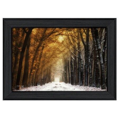 Homeroots Autumn to Winter Black Framed Print Wall Art 405476