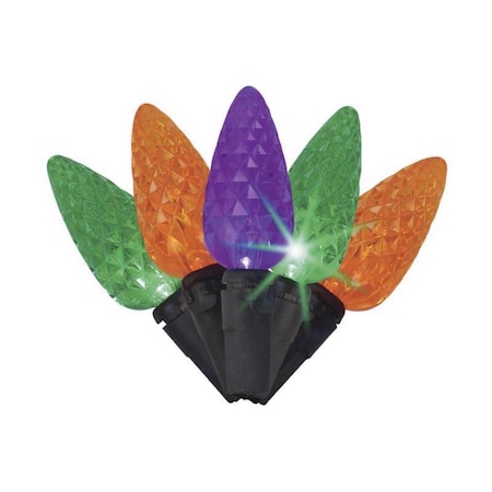 Celebrations Multicolored 100 ct LED String Lights 11-04029A