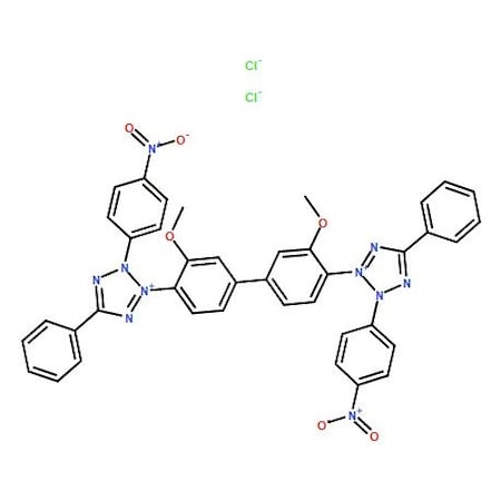 Ak Scientific Nitrotetrazolium Blue chloride (100g), CAS 298-83-9 7094AF-100g