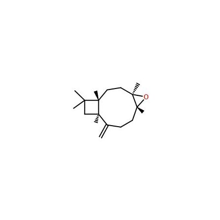 Ak Scientific Caryophyllene oxide (5g), CAS 1139-30-6 W2222-5g