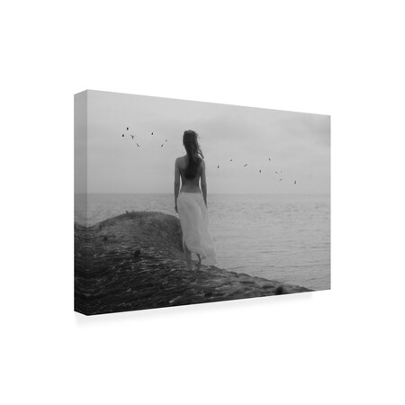 Trademark Fine Art Outdoor Canvas Art - Jacob Tuinenga 'What Else Is There' Wall Art for Patios, or Gardens 1X11053-OC2232WR