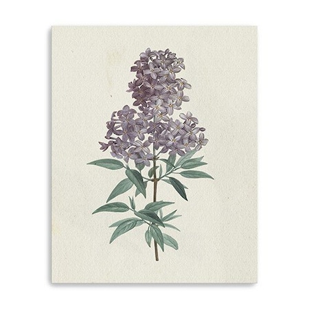 Homeroots Singular Purple Blossom Branch Unframed Print Wall Art 399059