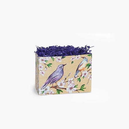 Nashville Wraps Backyard Birds Basket Box, Small 6.75x4x5, 6PK BYBS