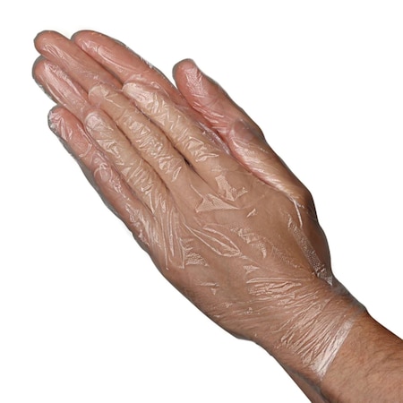 Vanguard VGuard Clear Polyethylene Glove, PF, 0.5 Mil, Large, 1000PK A43M13