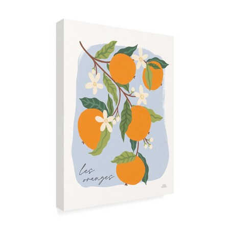 Trademark Fine Art Outdoor Canvas Art Laura Marshall 'Marche aux Fruits I v2' Wall Art for Patios, or Gardens WAP33107-OC3547WR