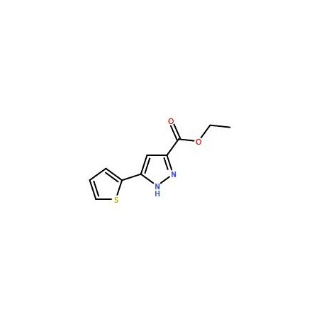 Ak Scientific Ethyl 5-thien-2-yl-1H-pyrazole-3-carboxylate (1g), CAS 121195-03-7 X9479-1g