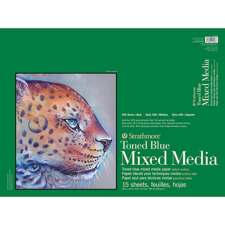 Strathmore 400 Series Mixed Media Pad, Toned Blue, Glue Binding, 15 Sheet, 18x24 inch P462-418
