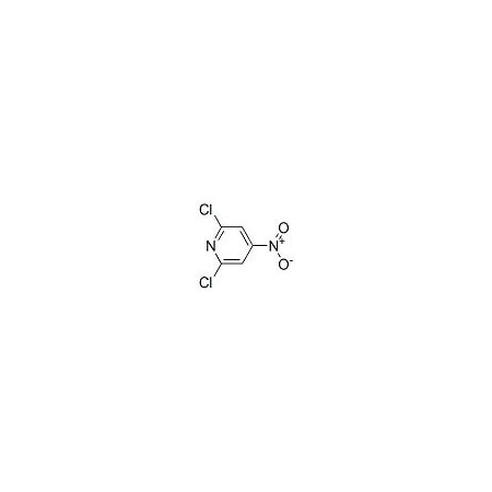 Ak Scientific 2, 6-Dichloro-4-nitropyridine (1g), CAS 25194-01-8 W4843-1g