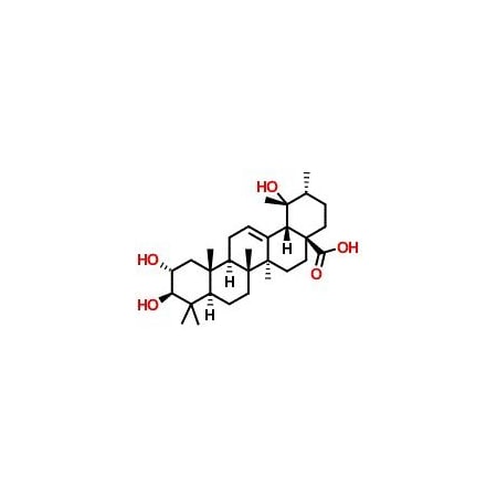 Ak Scientific Tormentic acid (5mg), CAS 13850-16-3 W2592-5mg