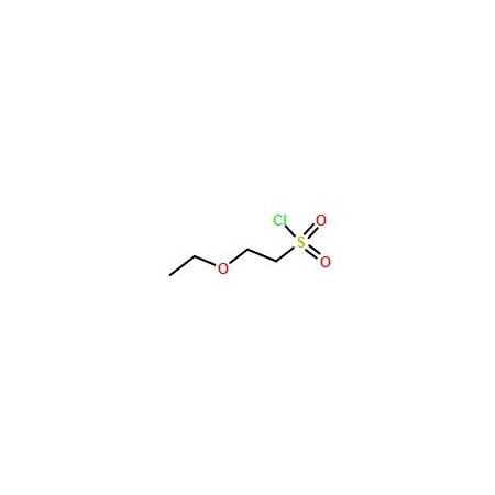Ak Scientific 2-Ethoxyethanesulfonyl chloride (1g), CAS 69371-75-1 W6977-1g