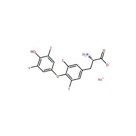 Ak Scientific Levothyroxine sodium (25g), CAS 55-03-8 6260AF-25g