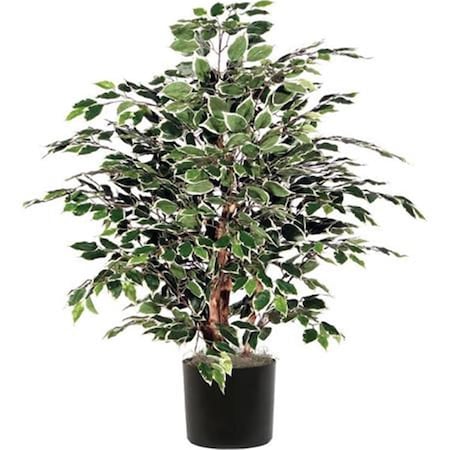 Dare2Decor 4 ft. Green Mini Ficus Extra Full in Plastic Pot DA2676002
