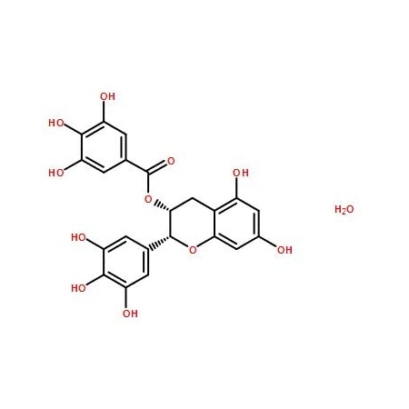 Ak Scientific (-)-Epigallocatechin gallate hydrate (1g), CAS 989-51-5 K791-1g
