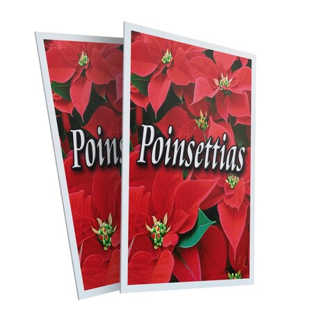 Signmission Poinsettias, Plastic Signs Only 24 Inch x 36 Inch, Corrugated Plastic, 2PK CSB-2436-2PACK-Poinsettias