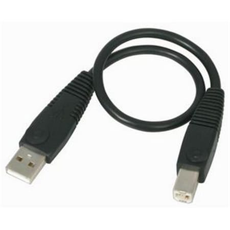 Ezgeneration High Speed USB 2.0 A to B Cable 1ft 1 x Type A  1 x Type B Cable Black EZ324919