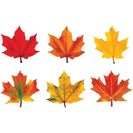 Trend Enterprises Maple Leaves Classic Accents® Variety Pack, 36 Per Pack, PK3 T10958