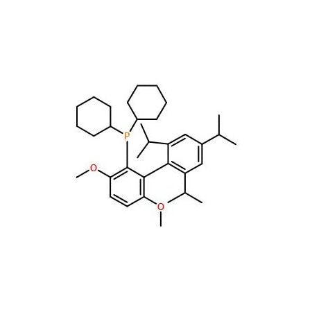 Ak Scientific BrettPhos (10g), CAS 1070663-78-3 X7077-10g