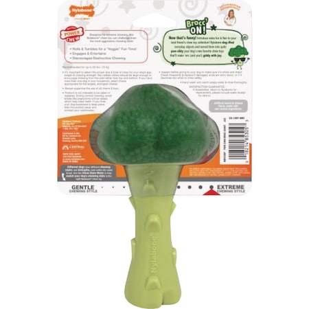 Nylabone Power Chew Large Broccoli Dog Toy NBR105P