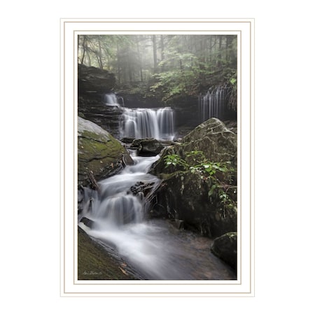 Homeroots Ricketts Waterfall White Framed Print Wall Art 530011