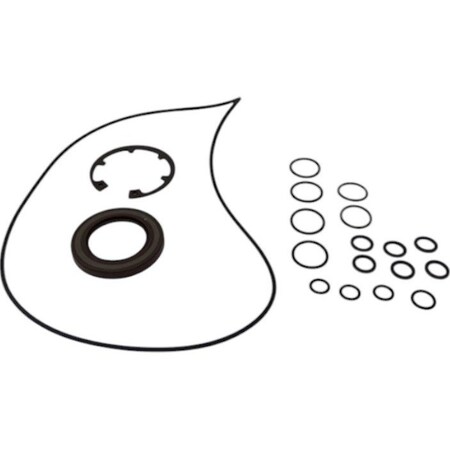 Agco KIT SEAL 512435D1, AGCO OEM AG331409 AG331409