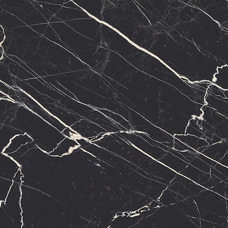 Apollo Tile Regalia 12x12 Nero Black Porcelain Veining Wall and Floor Tile (13.56 sq ft/case), 14PK VEL88NER1212A