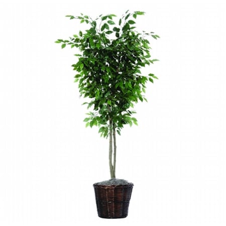 Dare2Decor 6 ft. Ficus Deluxe DA599719