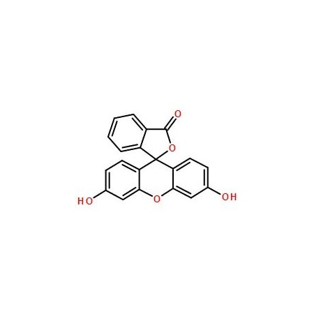 Ak Scientific Fluorescein (100g), CAS 2321-07-5 U832-100g