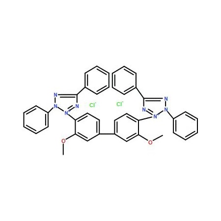 Ak Scientific Tetrazolium blue chloride (1g), CAS 1871-22-3 7096AF-1g