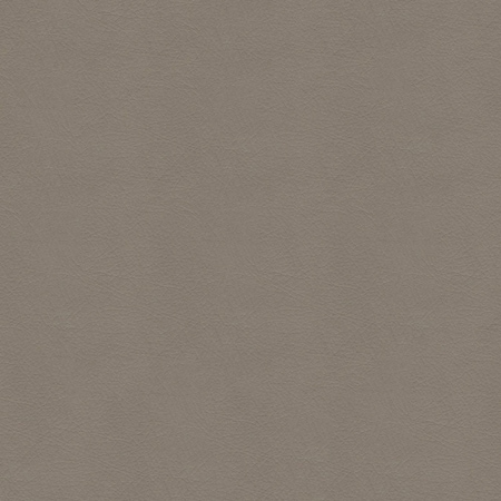 Abbeyshea Whisper, PVC Coated Faux Leather, Contract Grade, Upholstery Fabric, Fawn Samples WHISPWHI2150M9X9