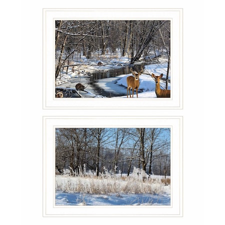 Homeroots Set Of Two Great Outdoors Nature or Winter Forest 2 White Framed Print Wall Art, 2PK 416033