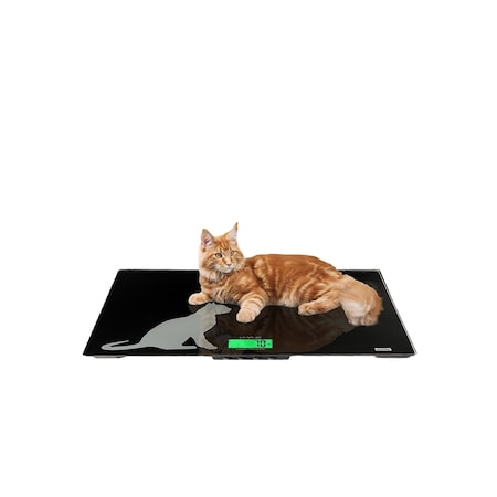 Bubblefast Veterinary Scales - 60 lb x 0.02lb / 0.2oz LC-VS 60