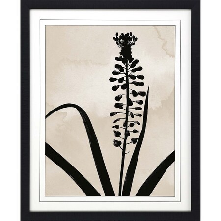 Homeroots Muscari Black Framed Print Wall Art 525692
