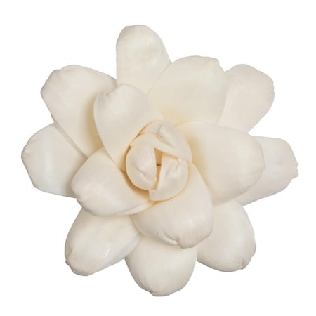 Dare2Decor 1-3 in. Assorted Eleanor Sola Head Artificial Flowers, Natural, 24PK DA3259035