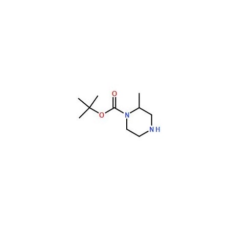 Ak Scientific N-1-Boc-2-methylpiperazine (1g), CAS 120737-78-2 Q901-1g