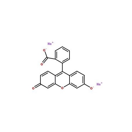 Ak Scientific Fluorescein sodium salt (25g), CAS 518-47-8 T217-25g