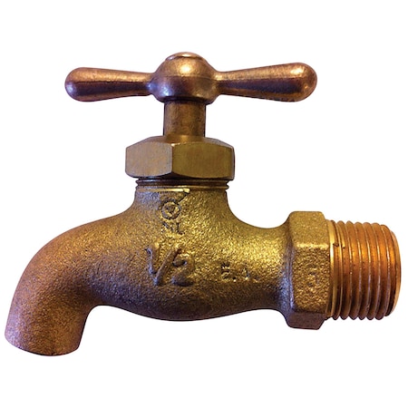 Campbell 1/2 in. D X 1/2 in. D MIP Brass Threaded Check Valve RHBSF2TLF
