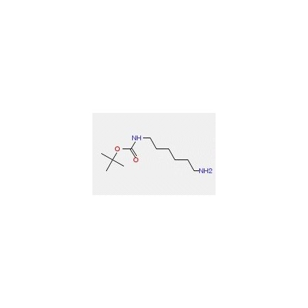 Ak Scientific N-Boc-1, 6-Diaminohexane (5g), CAS 51857-17-1 W6668-5g